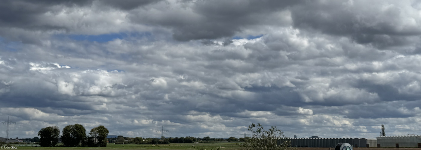 Knoblauchsland bei Poppenreuth